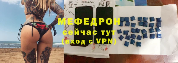 индика Дмитровск