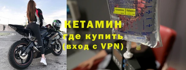 индика Дмитровск