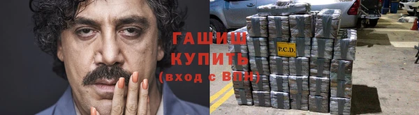 индика Дмитровск