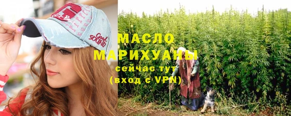 индика Дмитровск