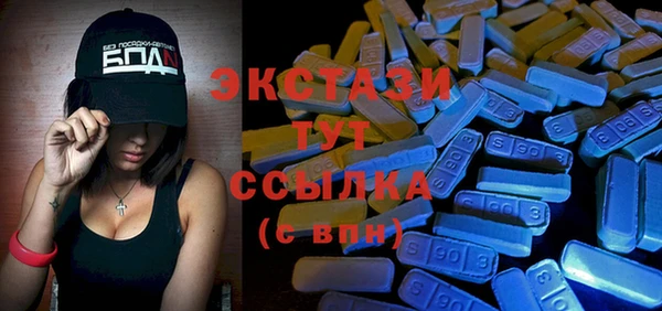 индика Дмитровск