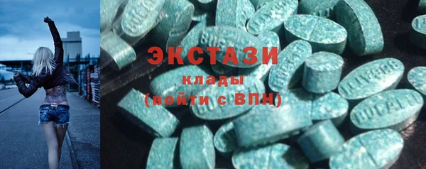 индика Дмитровск