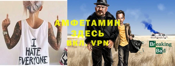 индика Дмитровск