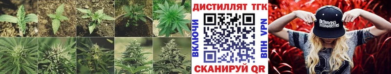 купить наркотики сайты  Жердевка  ТГК вейп с тгк 